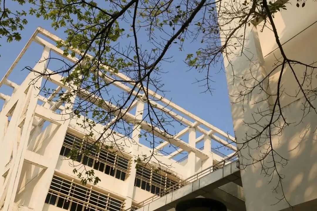 华茗港澳台侨联考学校：港澳台联考法学类院校介绍